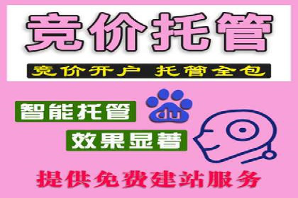 百度推广托管案例，展示精准定位营销的魅力